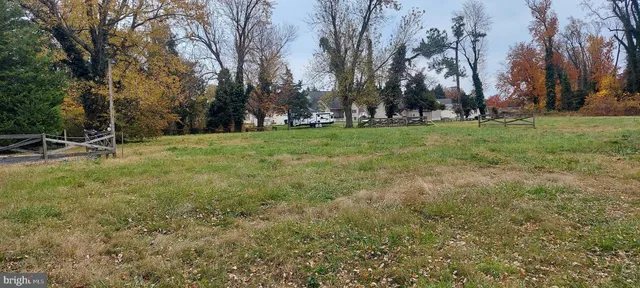 a view of a field with trees