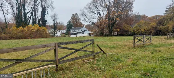 a view of a backyard with large trees