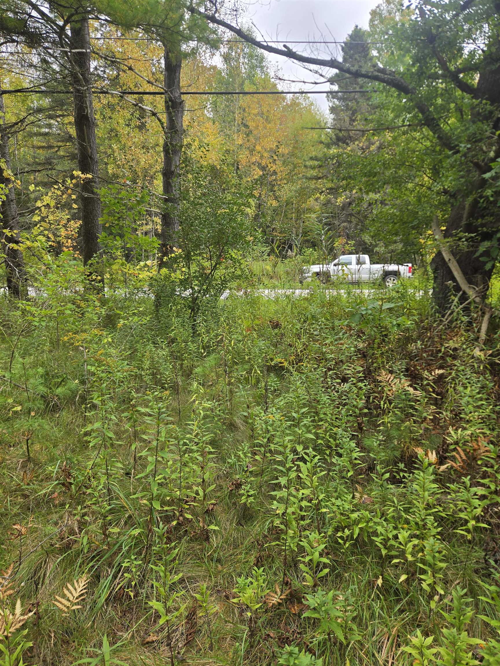 265 East Clarendon Road Clarendon, VT 05759 - Photo 5 of 6 Gallery Image 5
