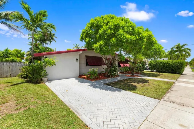 a view of a yard with plants