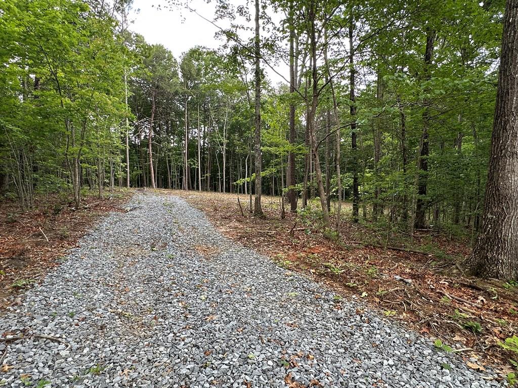 189 Country Hills Road Ellijay, GA 30540 - Photo 1 of 10 Main View