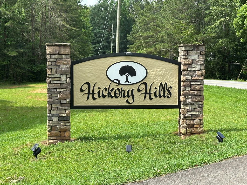 189 Country Hills Road Ellijay, GA 30540 - Photo 2 of 10 Gallery Image 2