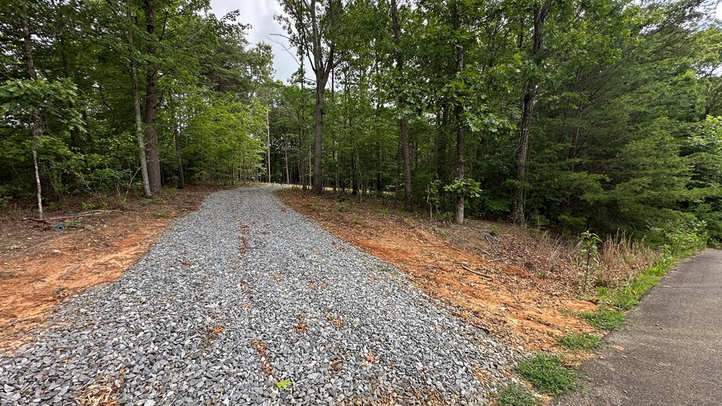 189 Country Hills Road Ellijay, GA 30540 - Photo 4 of 10 Gallery Image 4