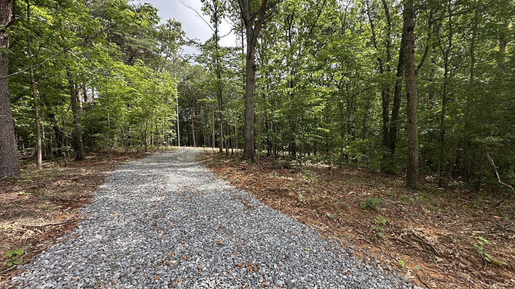 189 Country Hills Road Ellijay, GA 30540 - Photo 5 of 10 Gallery Image 5