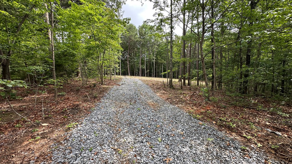 189 Country Hills Road Ellijay, GA 30540 - Photo 6 of 10 Gallery Image 6