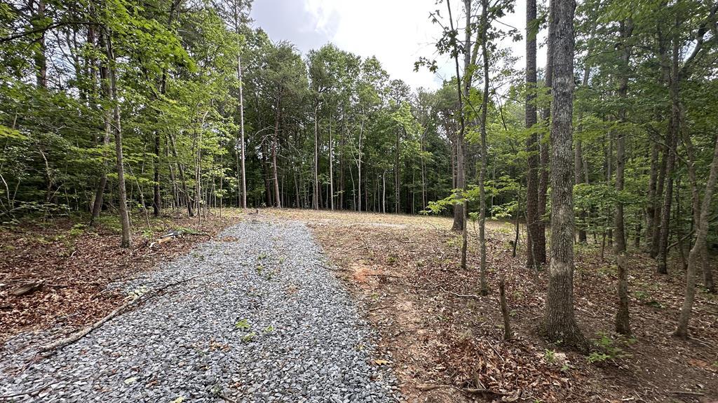 189 Country Hills Road Ellijay, GA 30540 - Photo 7 of 10 Gallery Image 7