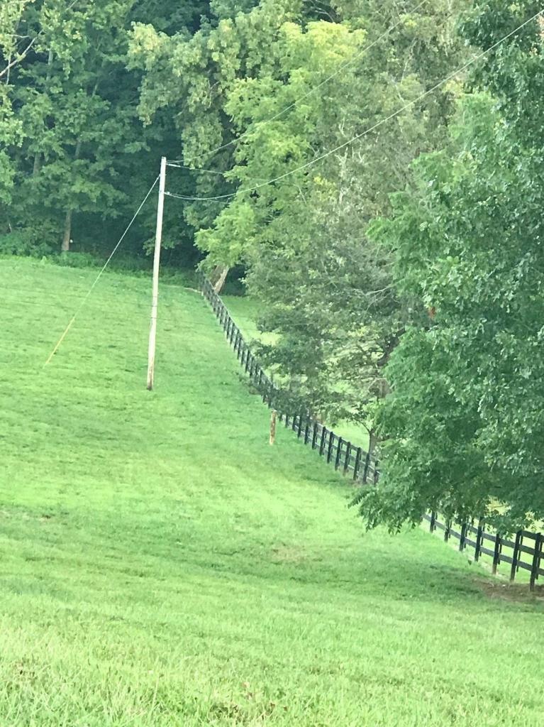 2060 Pumphouse Road Somerset, KY 42503 - Photo 9 of 21 Additional Photo