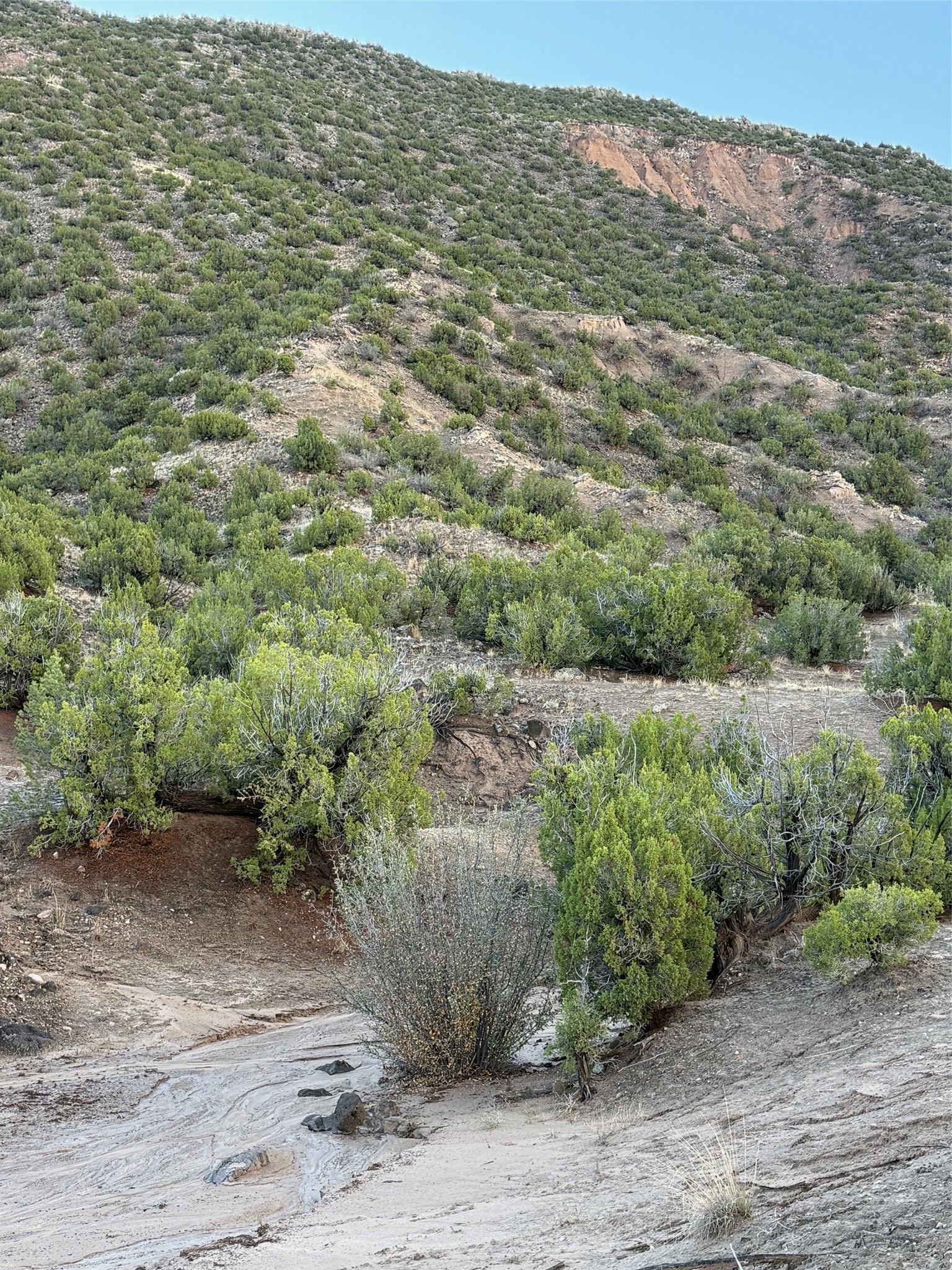 Tbd Lot 3 Tbd Road Ojo Caliente, NM 87549 - Photo 5 of 24