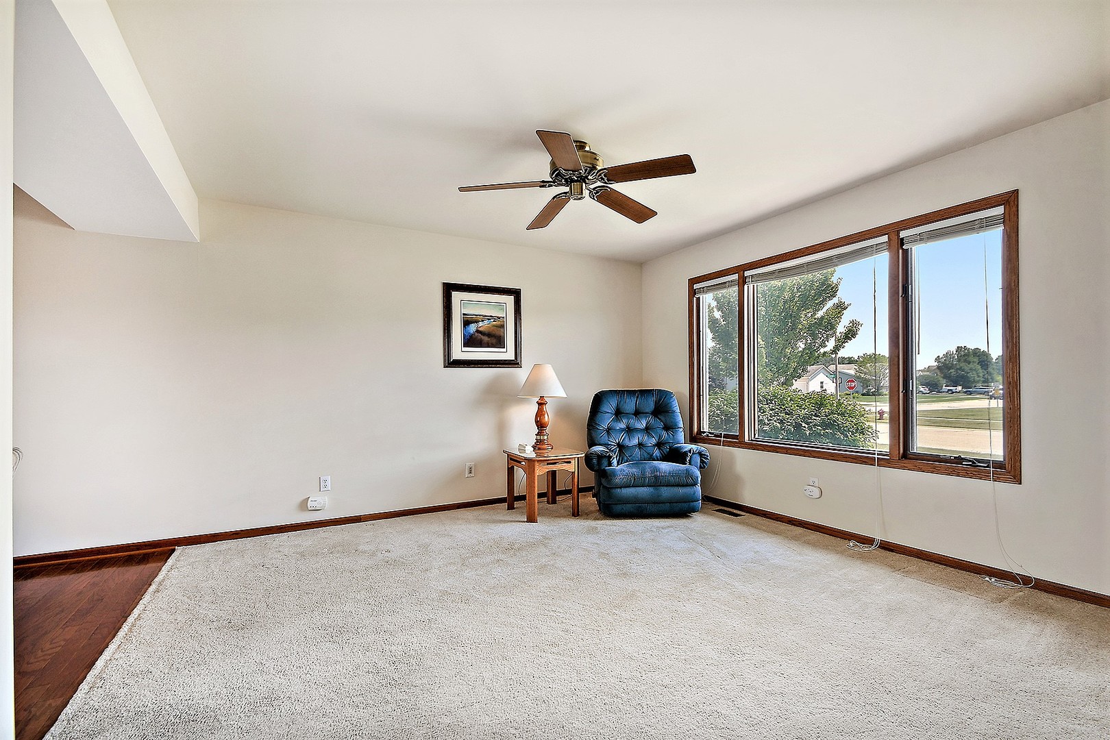 765 Sojourn Road New Lenox, IL 60451 - Photo 5 of 20