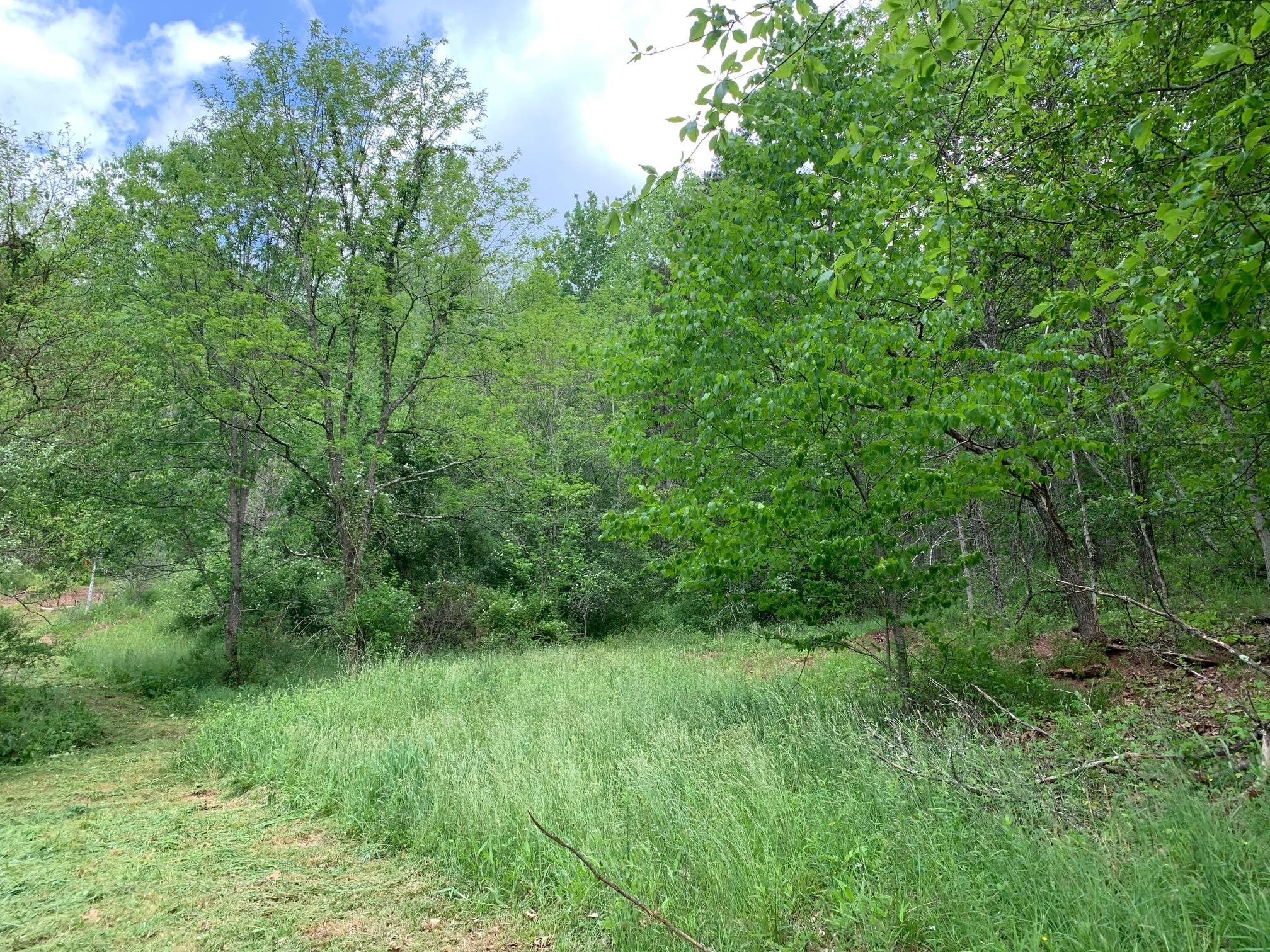 2445 Loudermilk Road Crawley, WV 24931 - Photo 11 of 20 Gallery Image 11