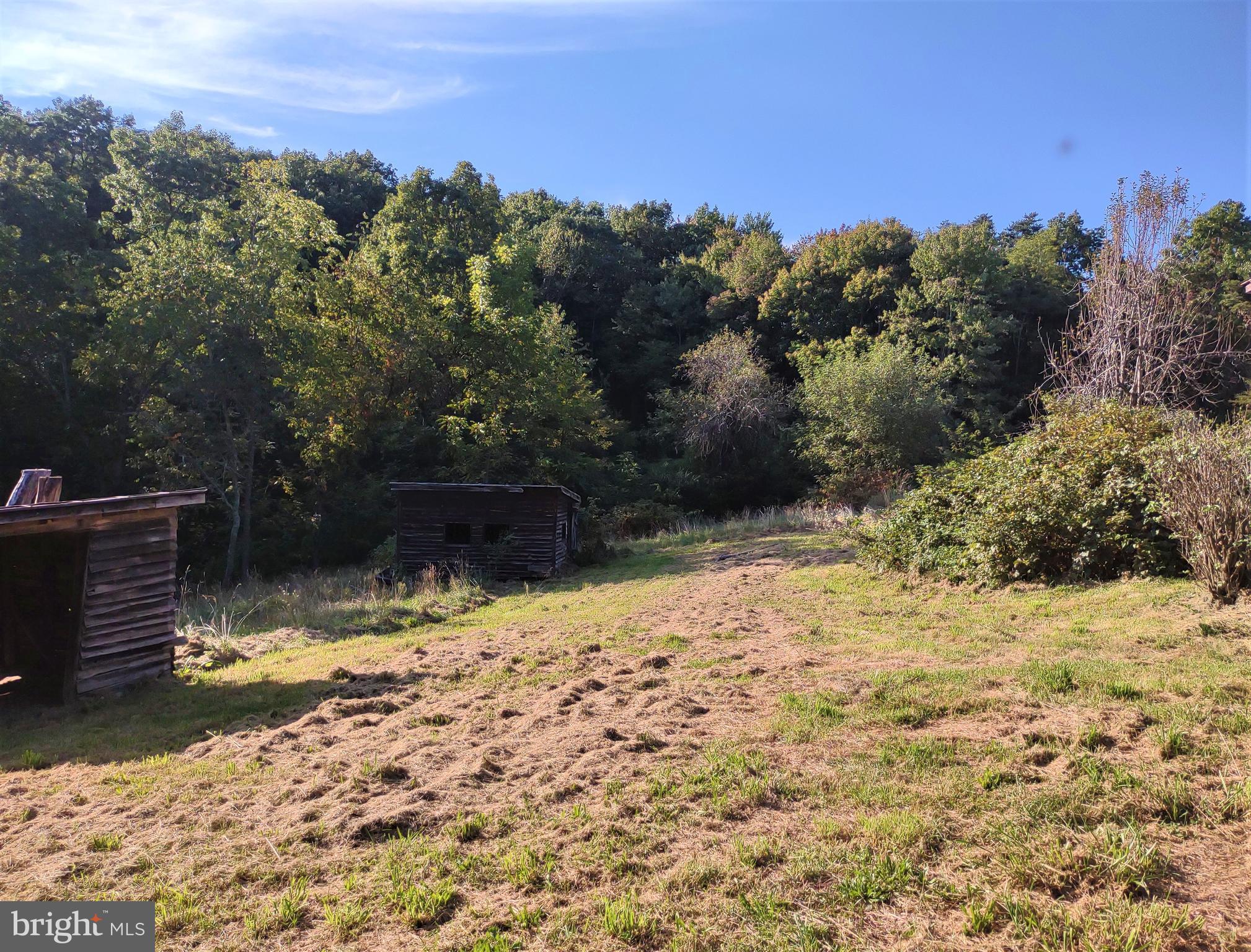 1998 Pepper Road Mount Jackson, VA 22842 - Photo 3 of 10 a view of the land