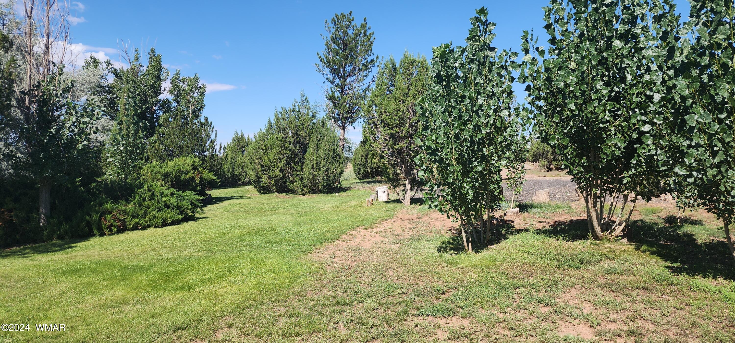 120 County Road Concho, AZ 85924 - Photo 24 of 47 20240805_094912