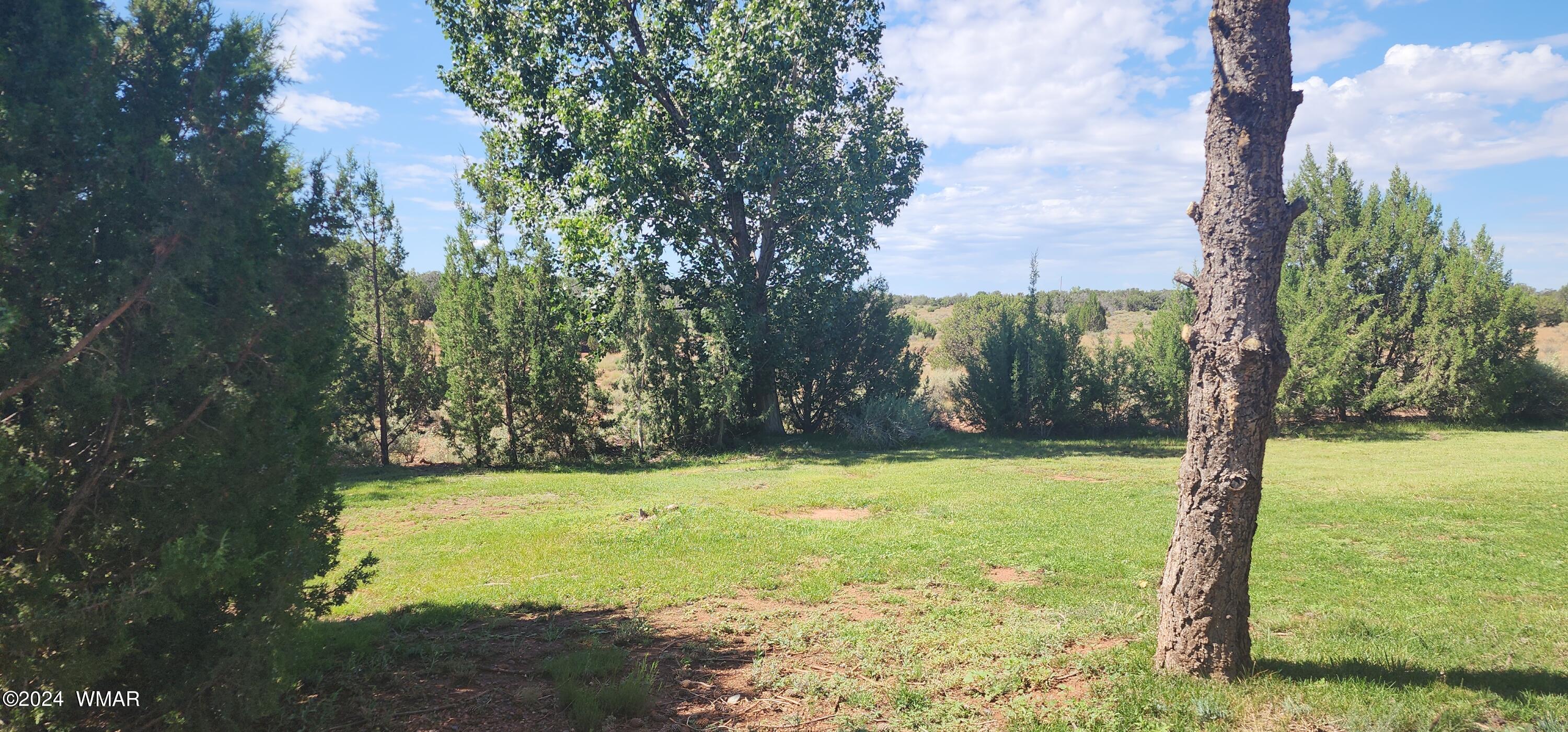 120 County Road Concho, AZ 85924 - Photo 25 of 47 20240805_095000