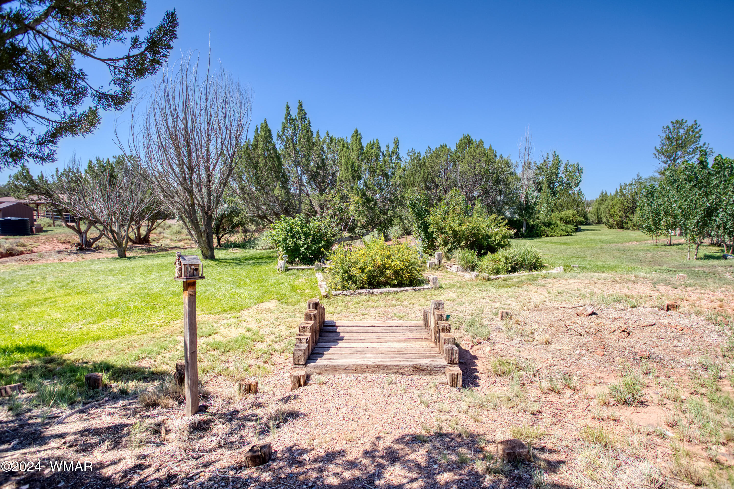 120 County Road Concho, AZ 85924 - Photo 39 of 47 paxmanphotography-1810