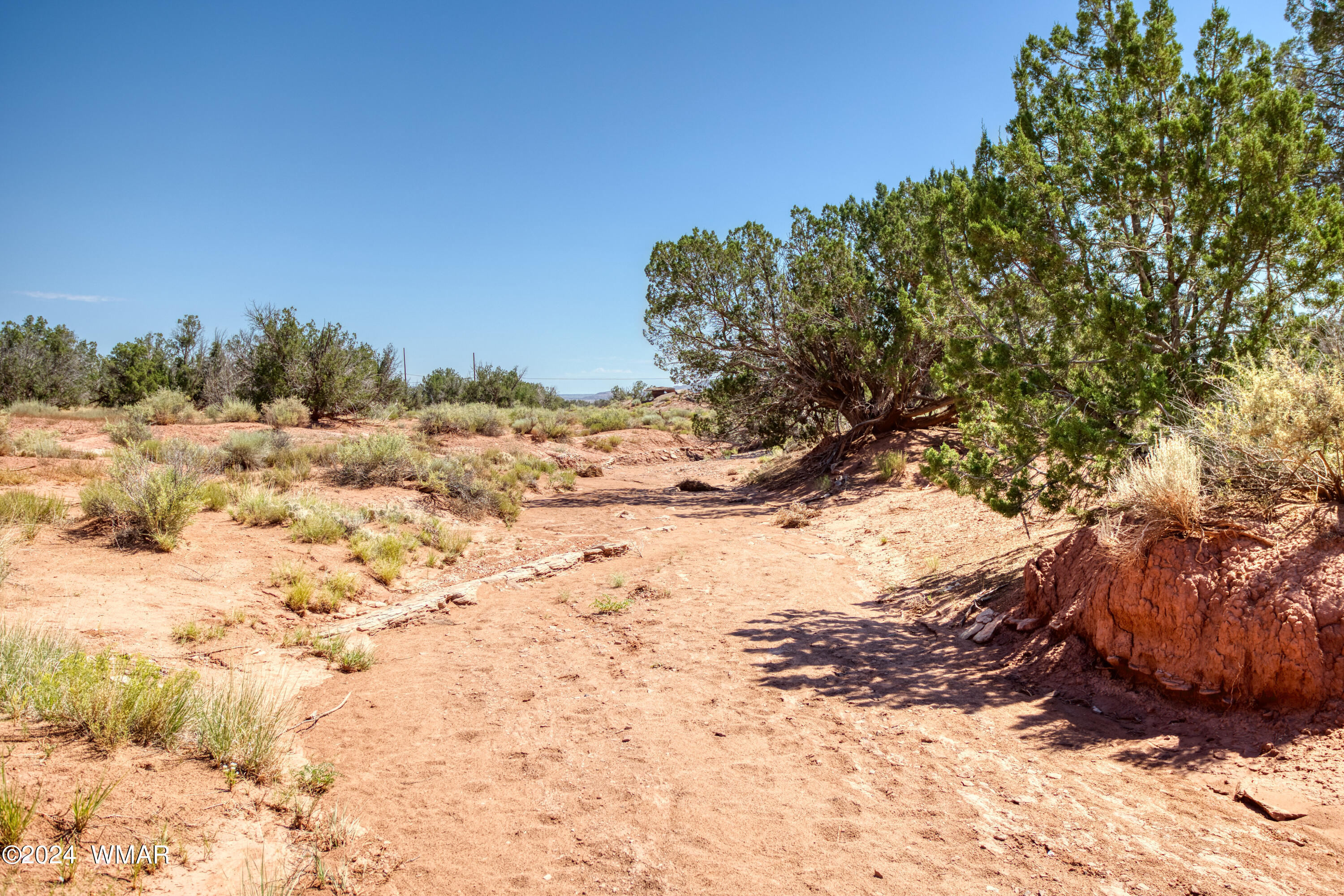 120 County Road Concho, AZ 85924 - Photo 41 of 47 paxmanphotography-1828
