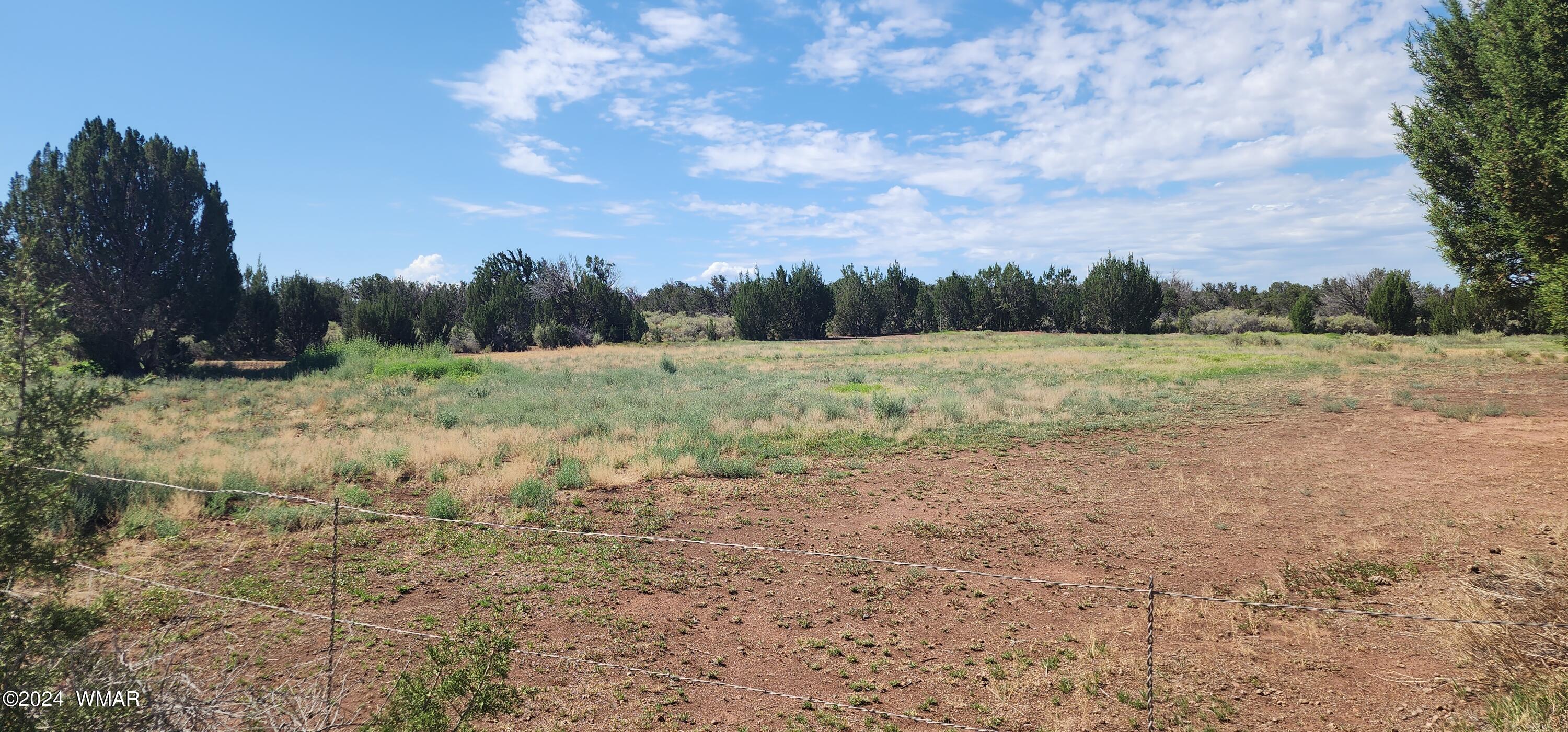 120 County Road Concho, AZ 85924 - Photo 45 of 47 20240805_095450