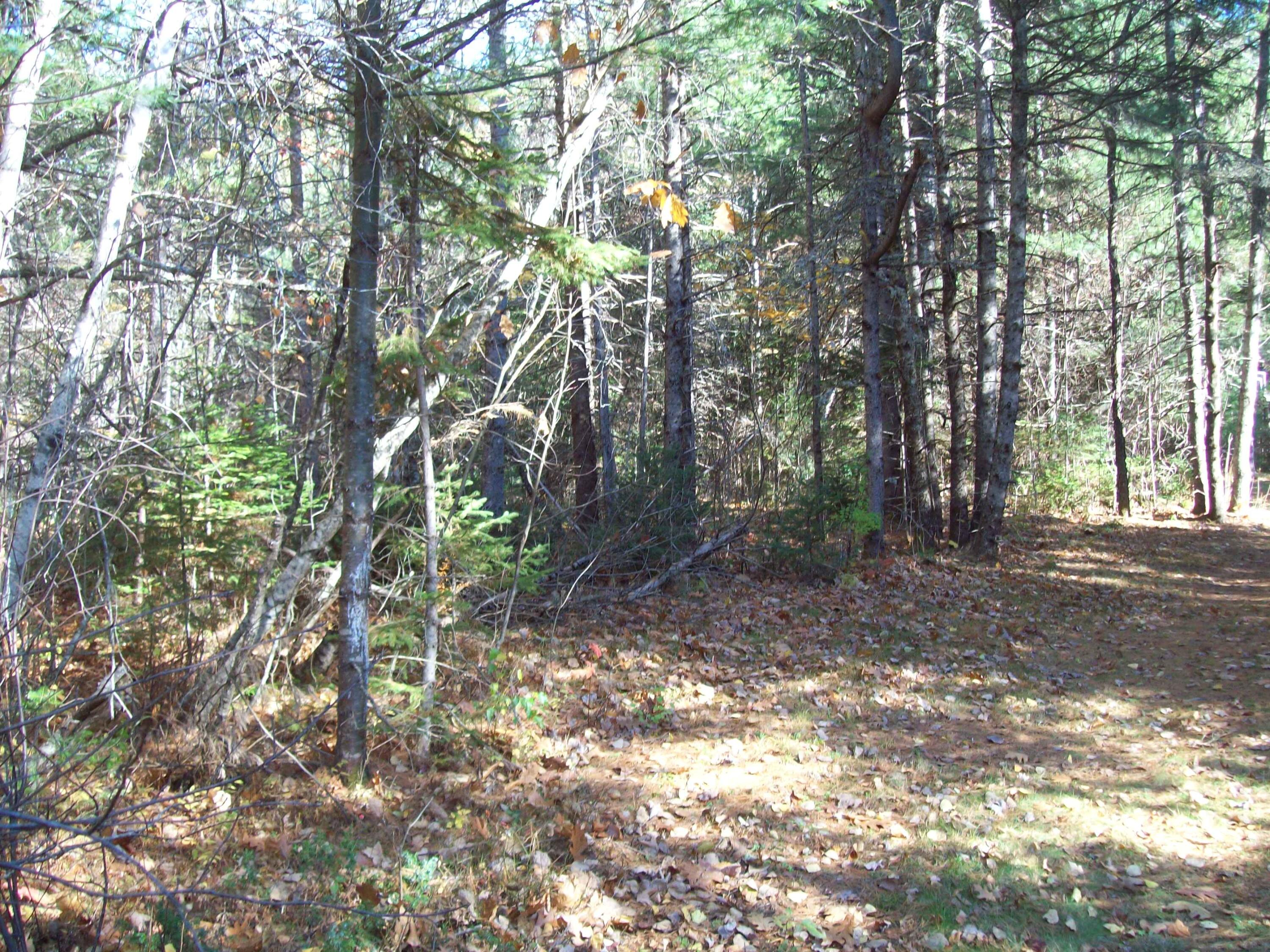 Tbd Hobbs Road Lakeville, ME 04487 - Photo 9 of 15 100_2437
