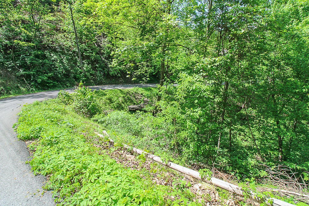 579 Crooked Ridge Road Gatlinburg, TN 37738 - Photo 2 of 24 Gallery Image 2