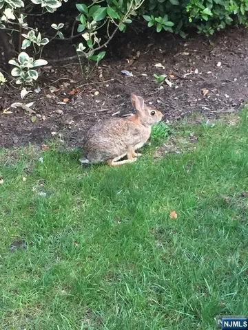 $3,950 | 280-320 Oak Street, Unit 314D, Ridgewood, NJ 07450