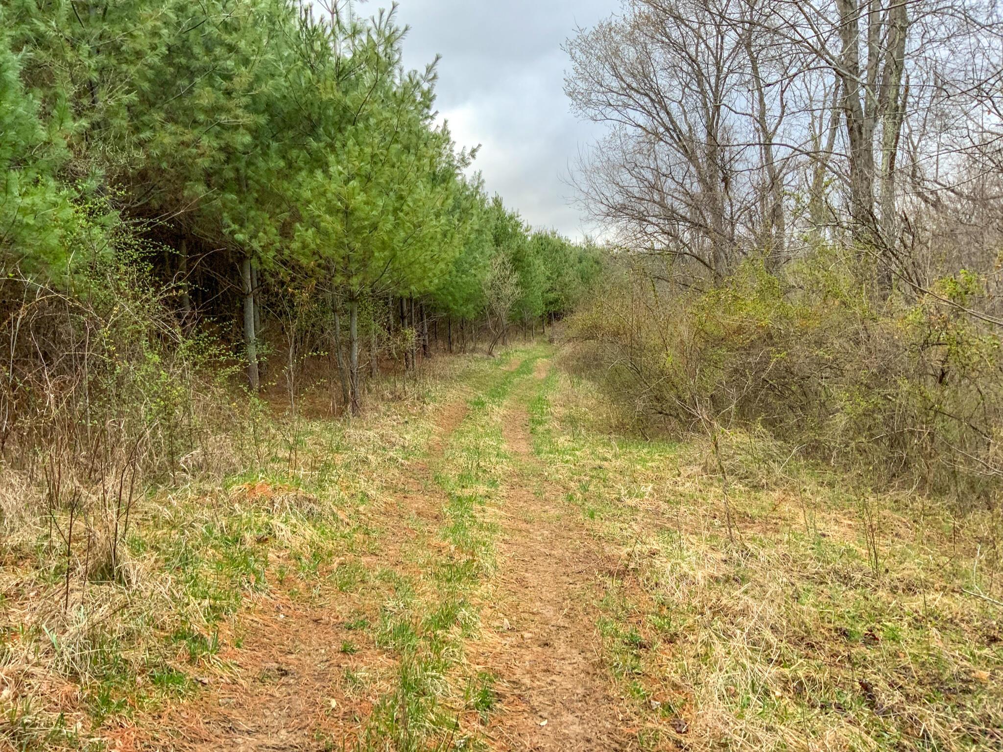 Lot 2 Fogle Road Caldwell, OH 43724 - Photo 2 of 23 IMG_5287