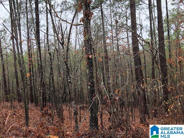 0 Lakeside Lane, Unit 31 Alpine, AL 35014 - Photo 4 of 42
