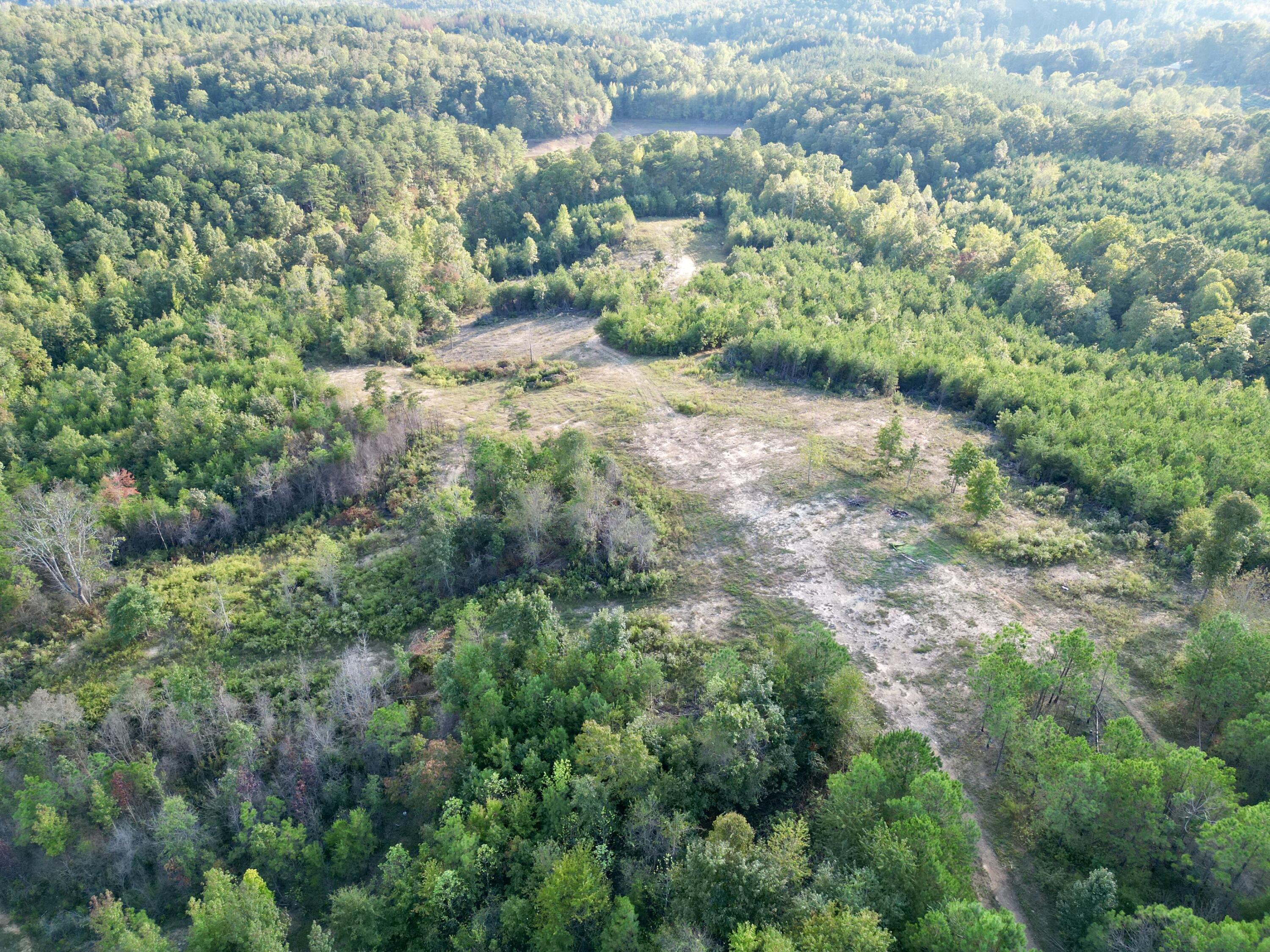 3607 Co Road Haleyville, AL 35565 - Photo 5 of 12 Gallery Image 5