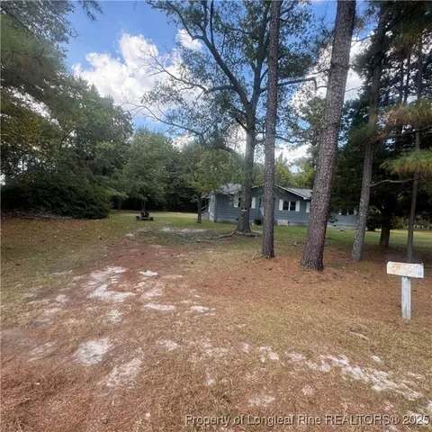 a backyard of a house with lots of green space