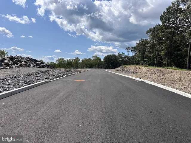 a view of a road from a yard