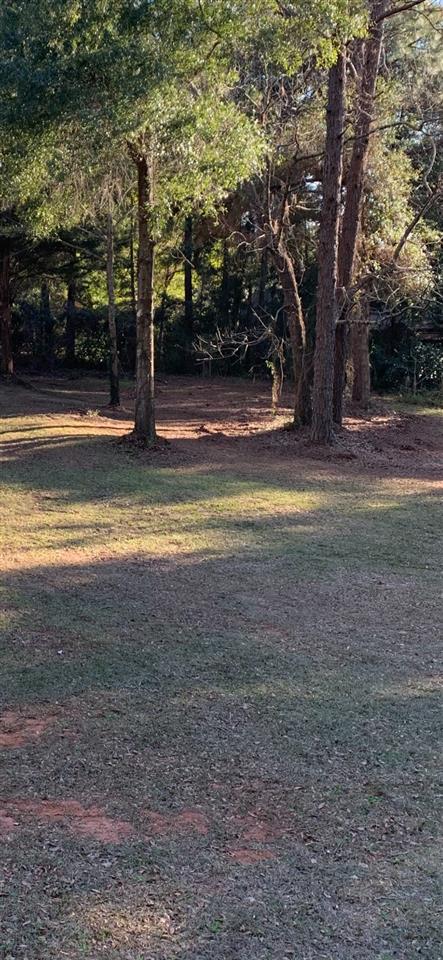0 Beall Lane Daphne, AL 36526 - Photo 1 of 3