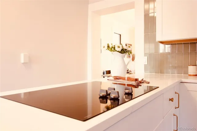 $825,000 | 1544 North Downing Street, Denver, CO 80218