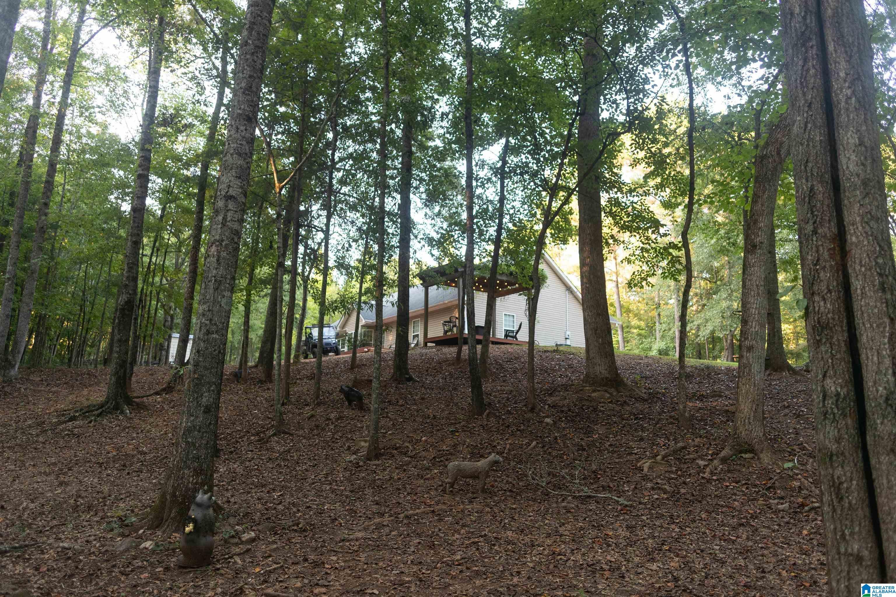 1045 Lee Road Valley, AL 36854 - Photo 12 of 32 Gallery Image 12