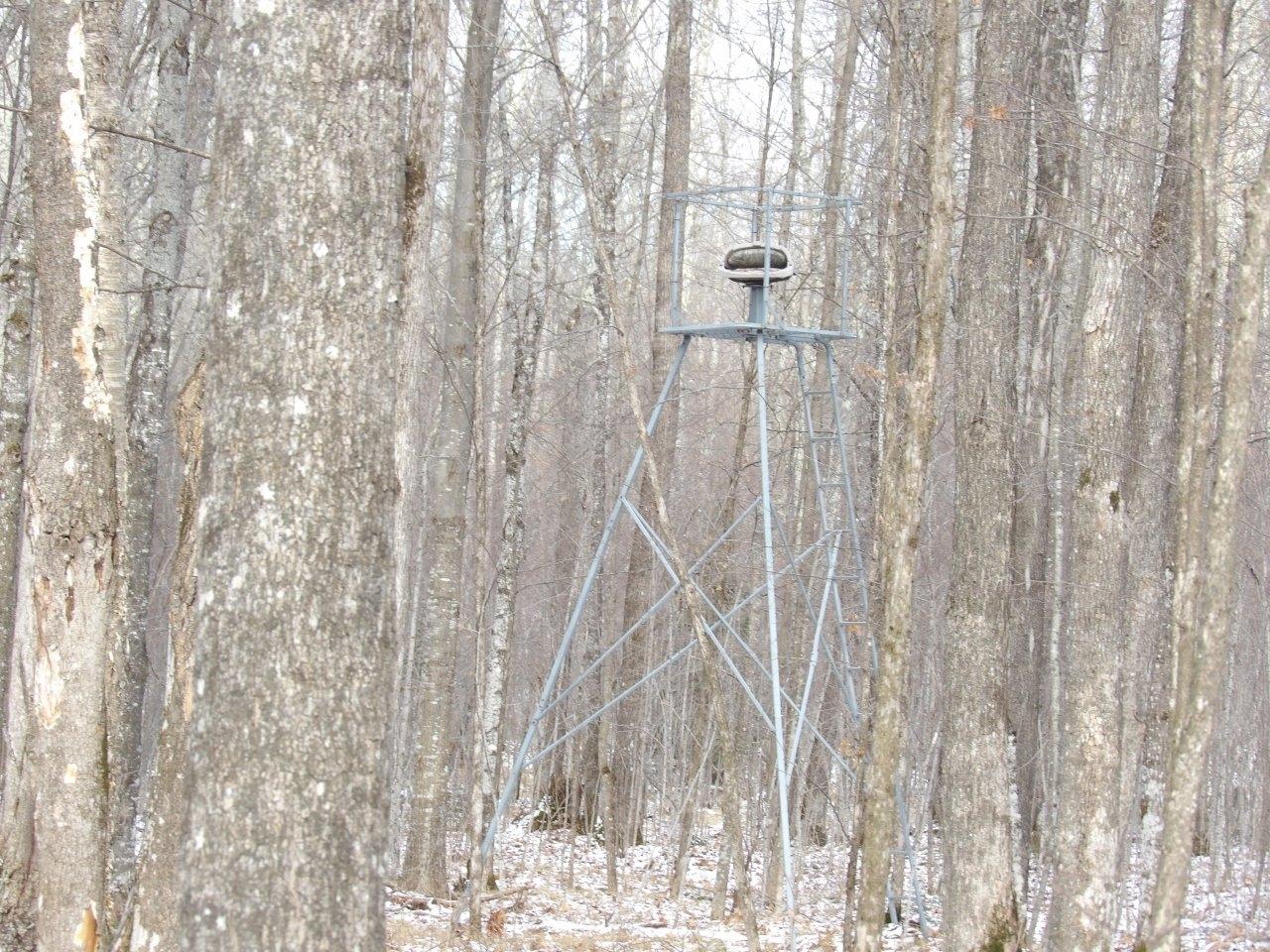 4792 Butler Road Winter, WI 54896 - Photo 20 of 29 Gallery Image 20
