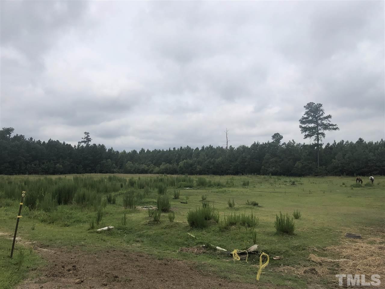 9205 Shaw Road Kenly, NC 27542 - Photo 4 of 9