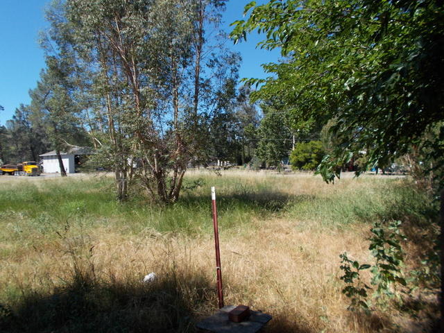 19359 Spring Gulch Road Anderson, CA 96007 - Photo 8 of 27 pasture