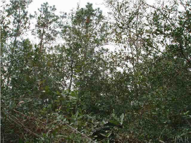 800 Tara Road Pensacola, FL 32534 - Photo 1 of 4 Cut some brush and you can enjoy a private well treed lot