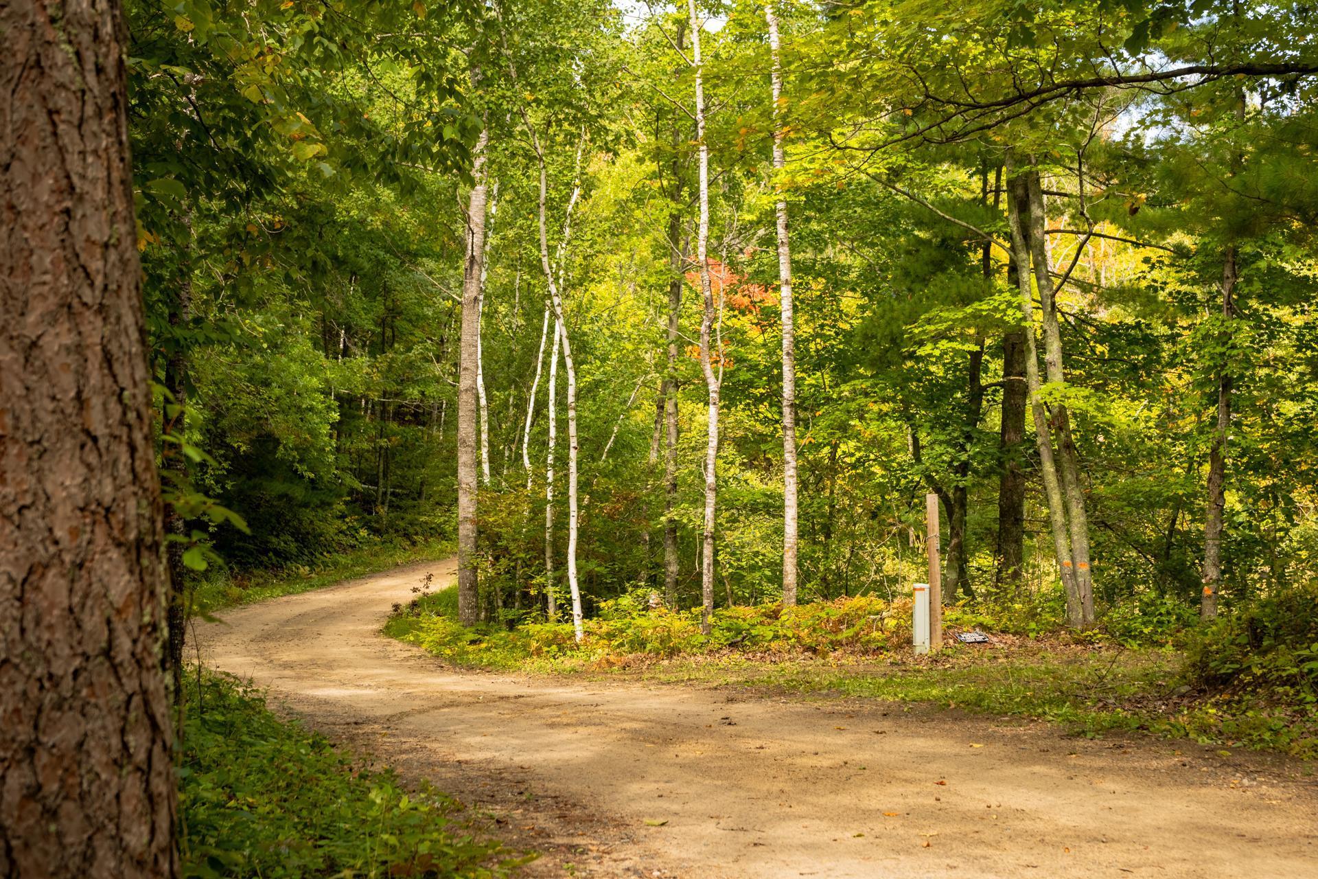 Tbd Ridgeview Lane Northeast Longville, MN 56655 - Photo 12 of 33