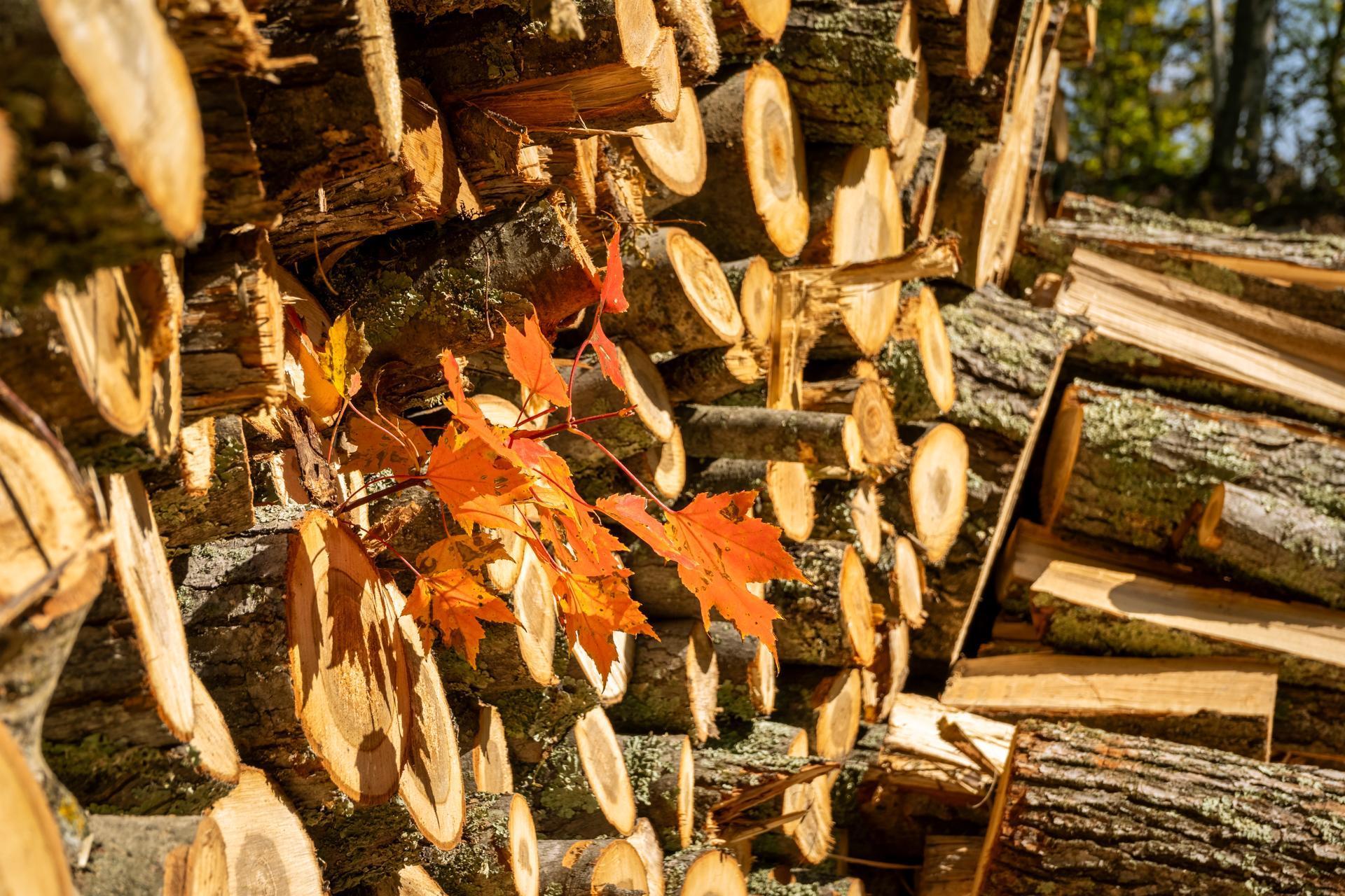 Tbd Ridgeview Lane Northeast Longville, MN 56655 - Photo 15 of 33