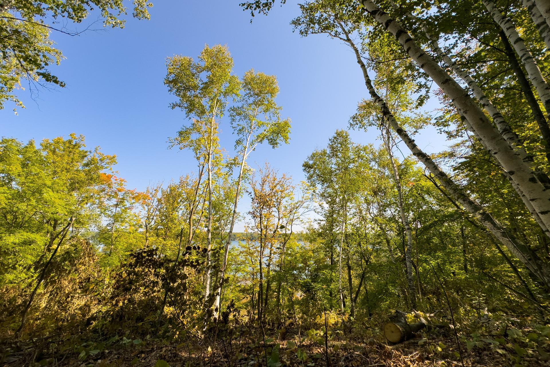 Tbd Ridgeview Lane Northeast Longville, MN 56655 - Photo 17 of 33