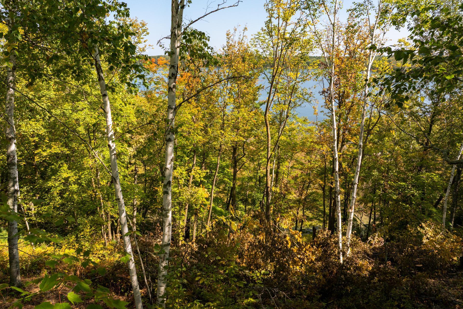 Tbd Ridgeview Lane Northeast Longville, MN 56655 - Photo 19 of 33