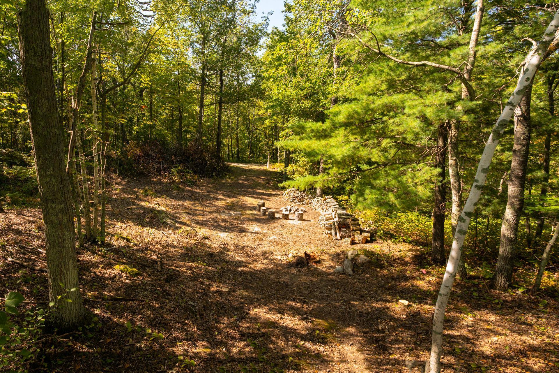 Tbd Ridgeview Lane Northeast Longville, MN 56655 - Photo 20 of 33