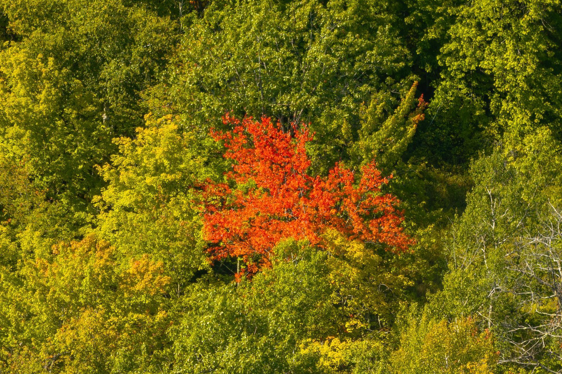 Tbd Ridgeview Lane Northeast Longville, MN 56655 - Photo 25 of 33