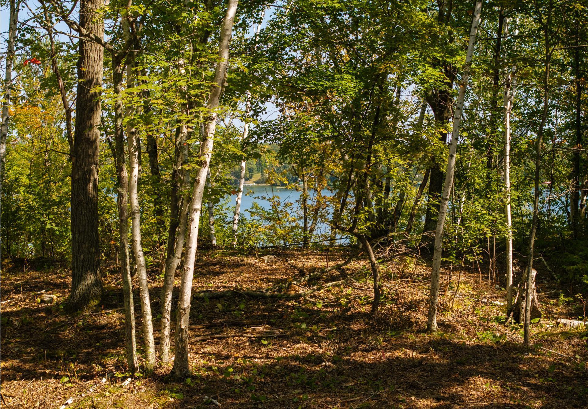 Tbd Ridgeview Lane Northeast Longville, MN 56655 - Photo 28 of 33