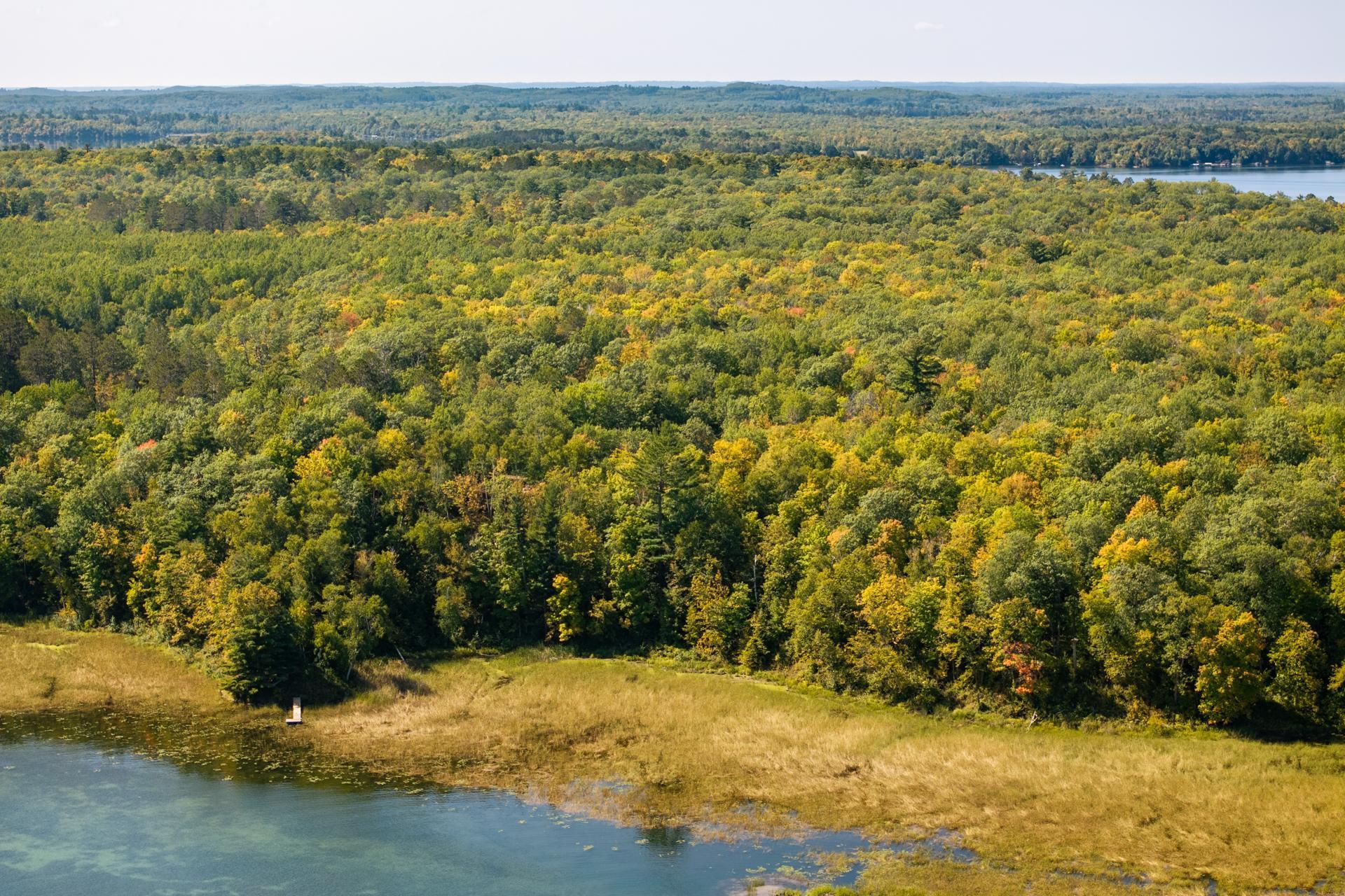 Tbd Ridgeview Lane Northeast Longville, MN 56655 - Photo 30 of 33