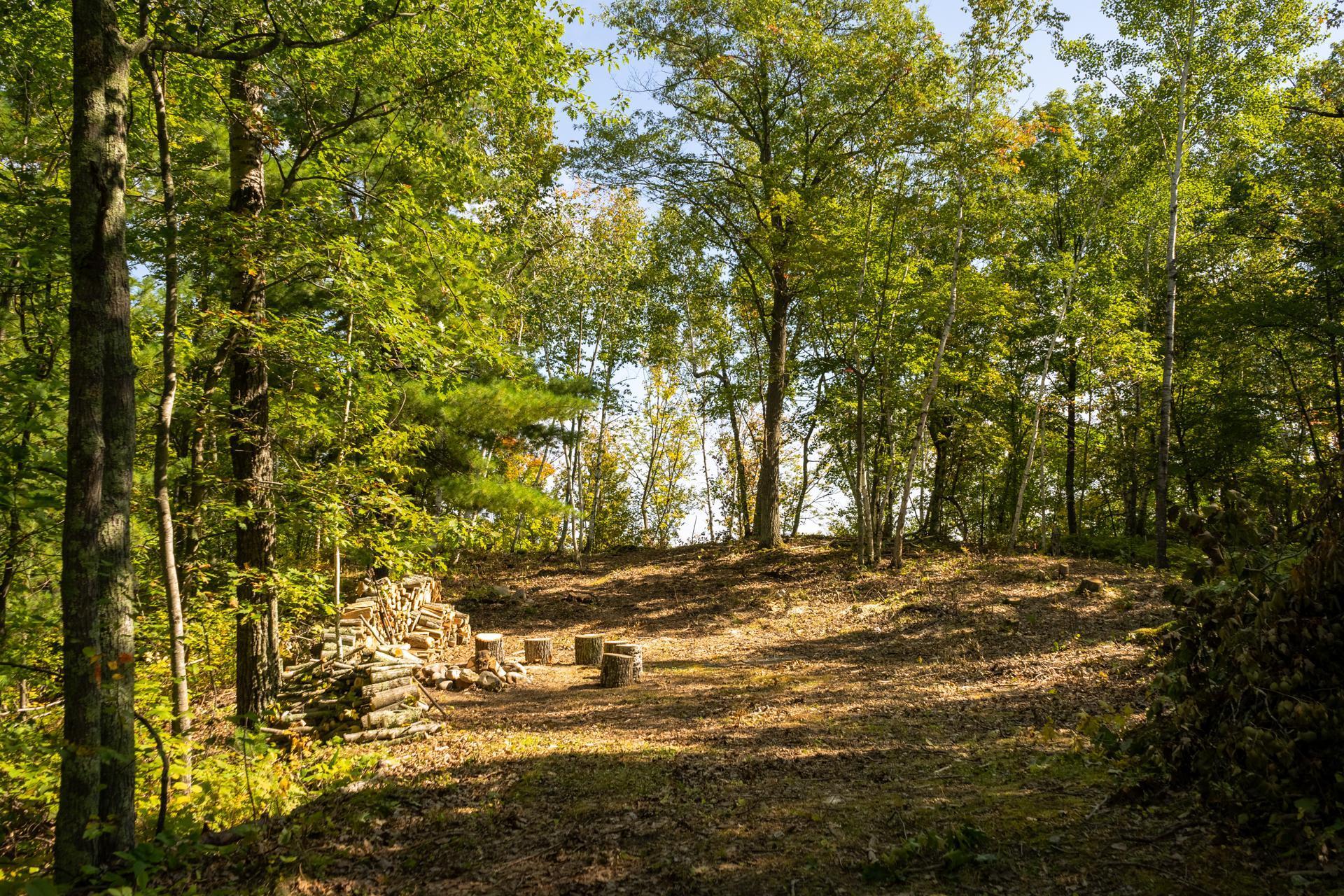 Tbd Ridgeview Lane Northeast Longville, MN 56655 - Photo 6 of 33