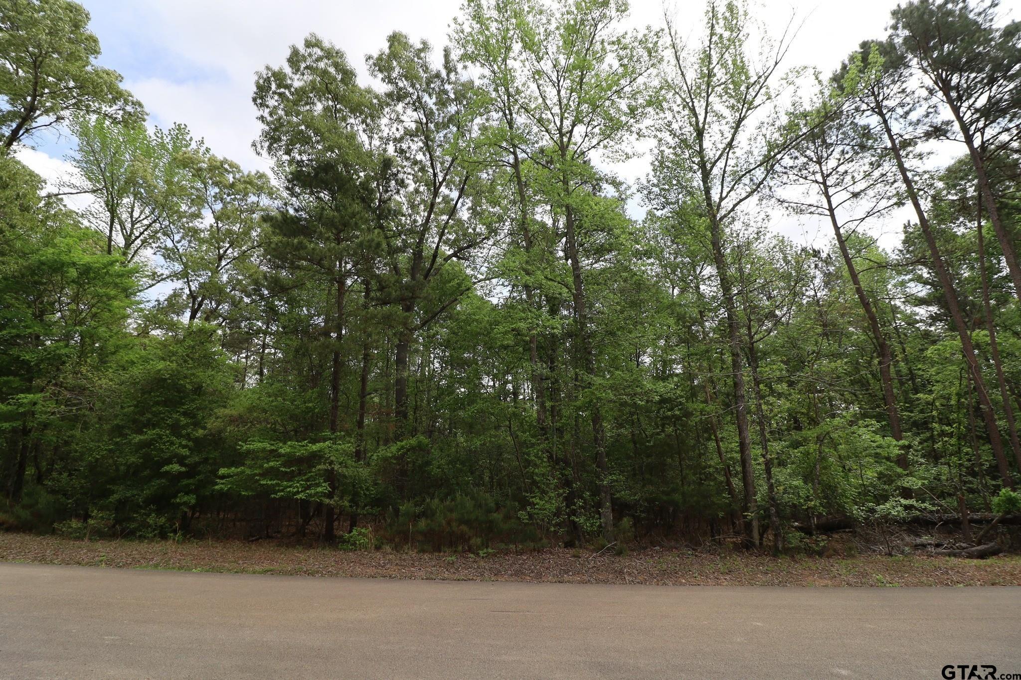 14624 Reserve Court Tyler, TX 75707 - Photo 1 of 12 a view of a forest