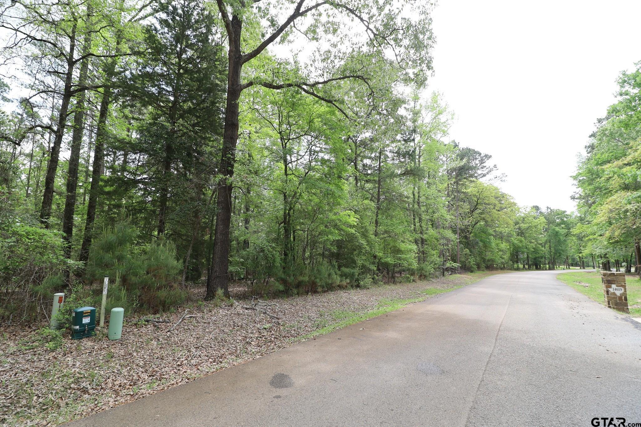 14624 Reserve Court Tyler, TX 75707 - Photo 2 of 12 a view of a forest with trees in the background
