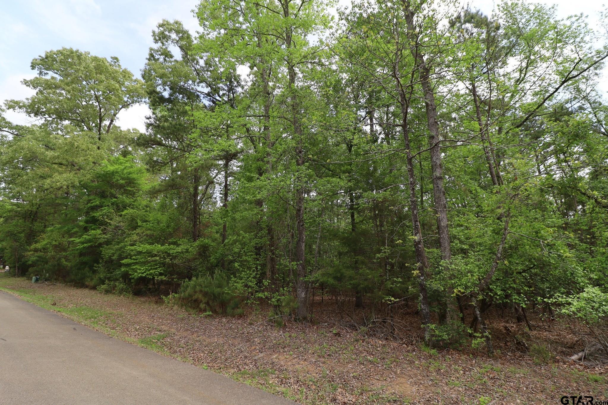 14624 Reserve Court Tyler, TX 75707 - Photo 3 of 12 a view of a forest with trees in the background