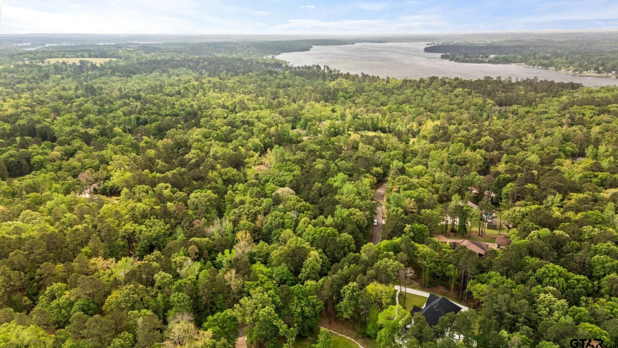 14624 Reserve Court Tyler, TX 75707 - Photo 8 of 12 a view of a field with an ocean