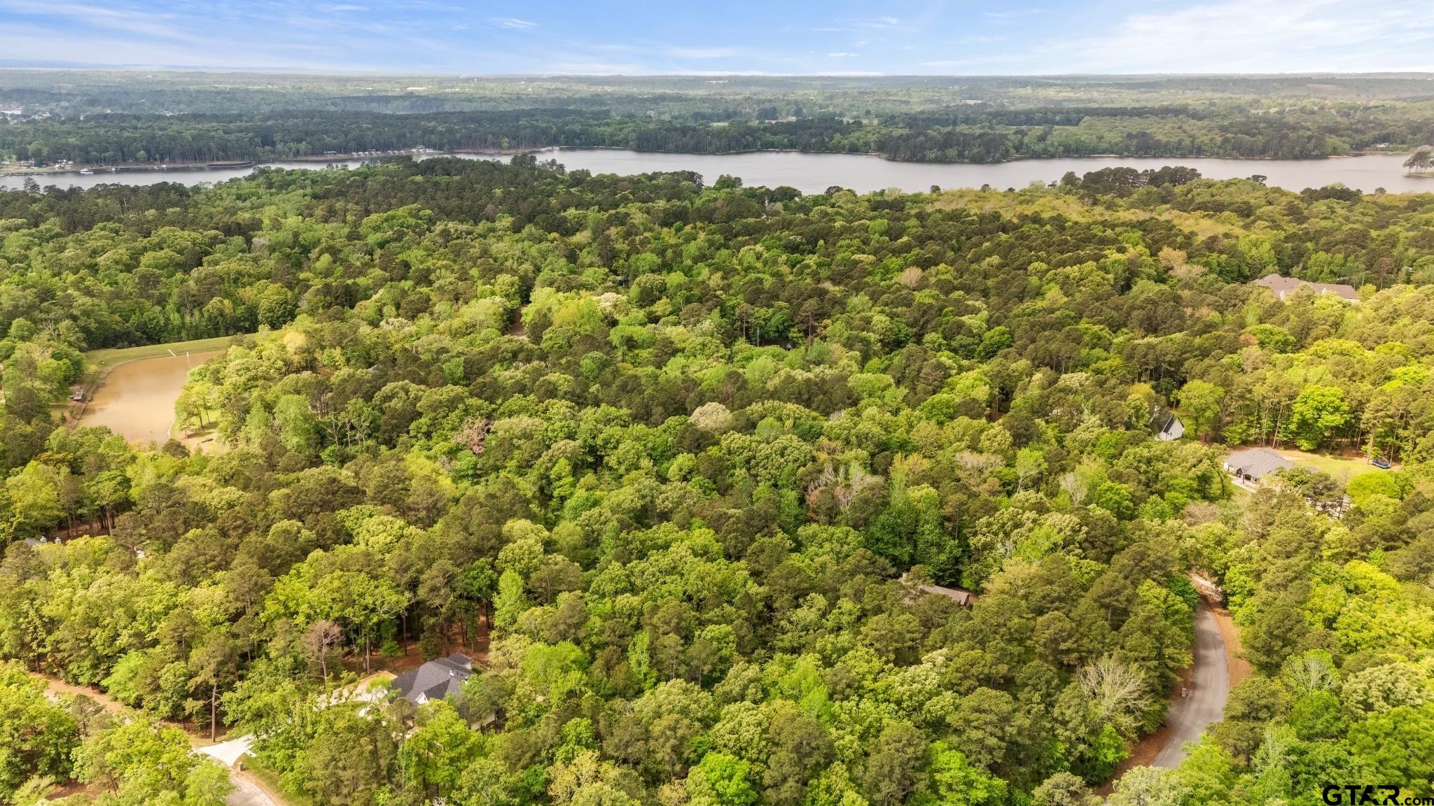 14624 Reserve Court Tyler, TX 75707 - Photo 10 of 12 a view of a city with an ocean