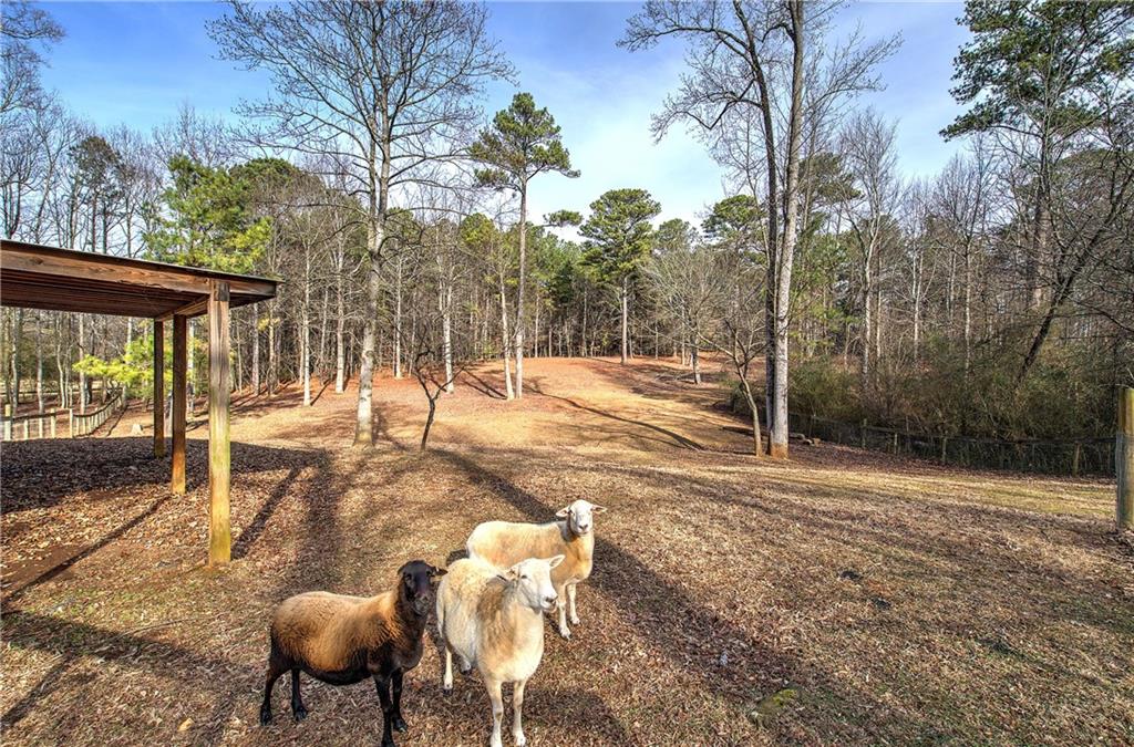 1703 Bryant Road Ranger, GA 30734 - Photo 59 of 71 a backyard of a house with table and chairs